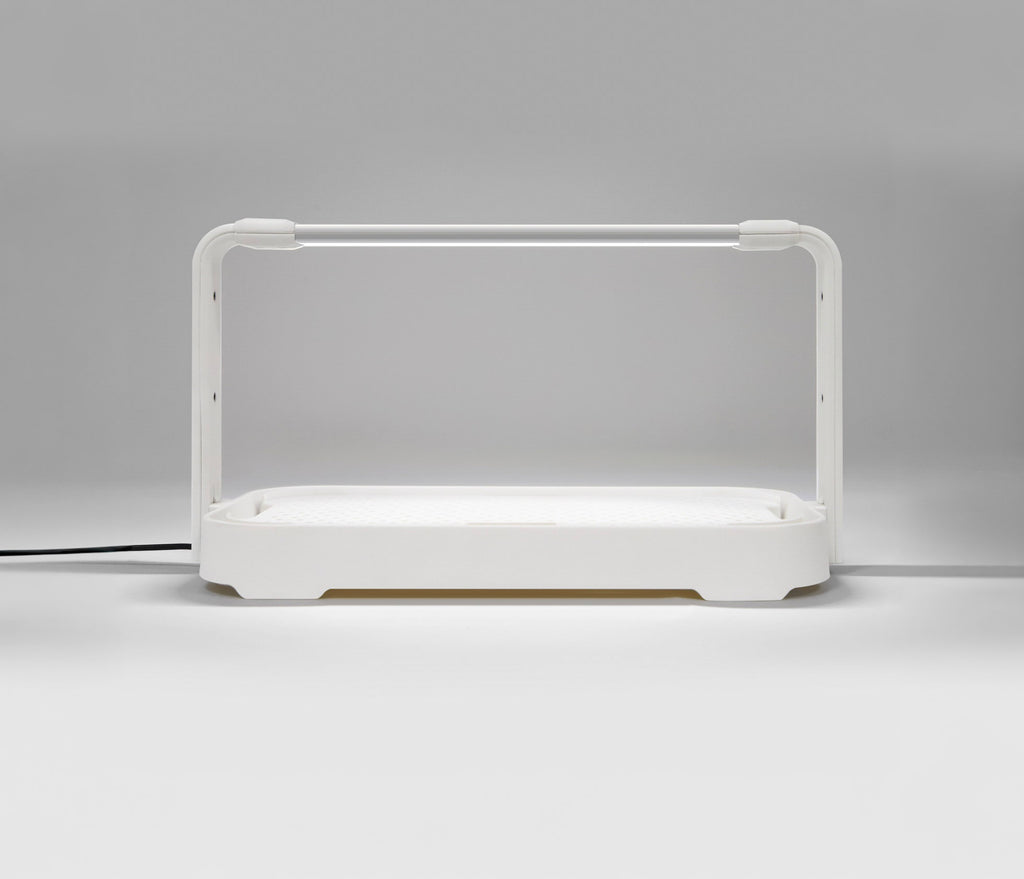 Entry-level white microgreen garden system with LED grow light used for indoor gardening.