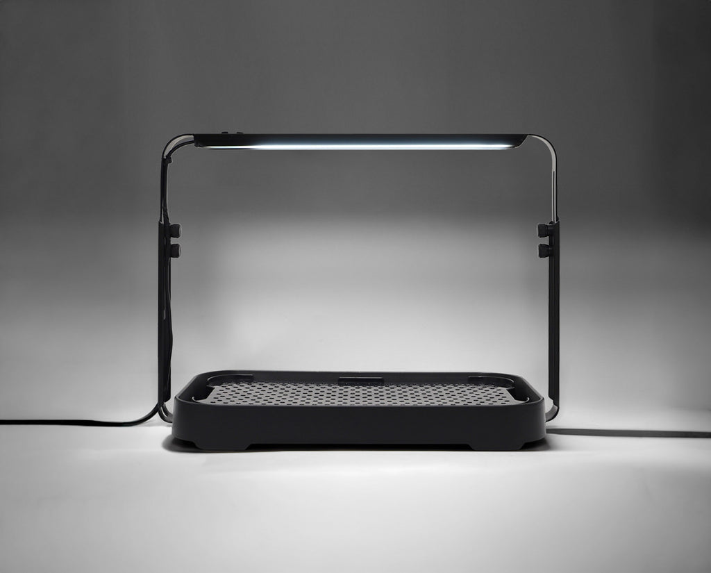 Black microgreen garden system with a height-adjustable LED grow light used for indoor gardening.