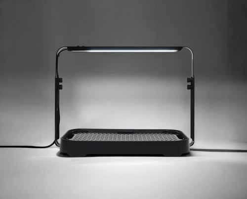 Black microgreen garden system with a height-adjustable LED grow light used for indoor gardening.