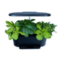 Black indoor garden with plants on a white background.