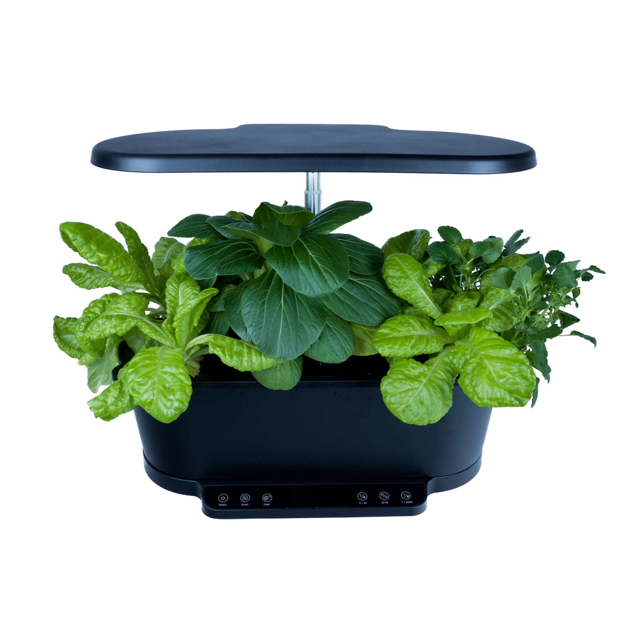 Black indoor garden with plants on a white background.