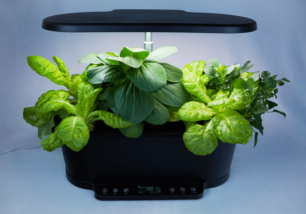 Black indoor smart garden growing lettuce, pak choi, and violas under a warm-toned LED grow light set to fruit and flower mode.